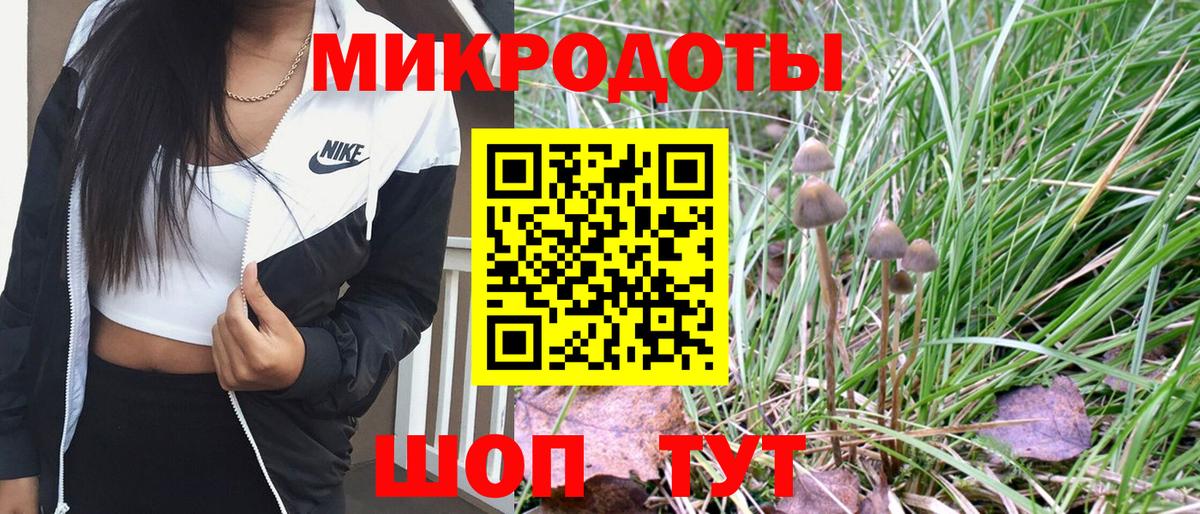 Псилоцибиновые грибы мухоморы Жигулёвск