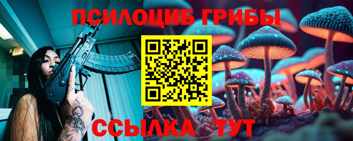 Жигулёвск  Псилоцибиновые грибы мухоморы  Вход с VPN 